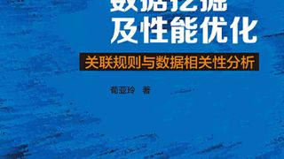 并行数据挖掘及性能优化:关联规则与数据相关性分析