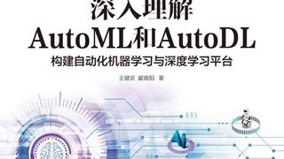 深入理解AutoML和AutoDL：构建自动化机器学习与深度学习平台