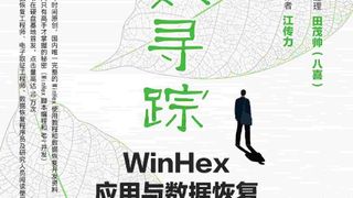 识数寻踪:WinHex应用与数据恢复开发秘籍