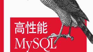 高性能MySQL(第3版)