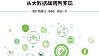 Greenplum:从大数据战略到实现