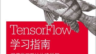 TensorFlow学习指南：深度学习系统构建详解