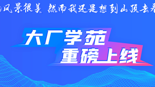大厂学院-RPC框架核心源码深度解析|完结无秘