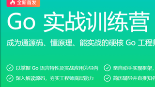 极客时间-Go实战训练营1期|价值5999元|2022年|重磅首发|完结
